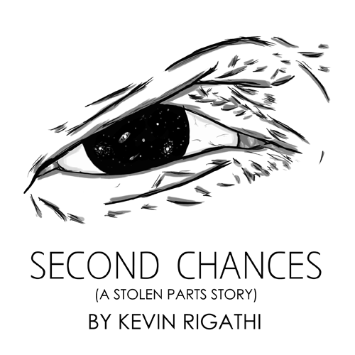Second Chances 2